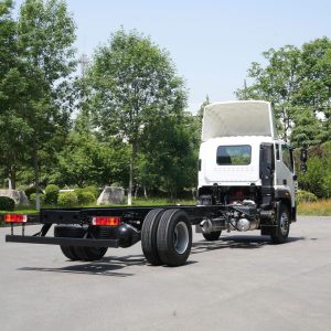 Alternative view of Foton Auman C160